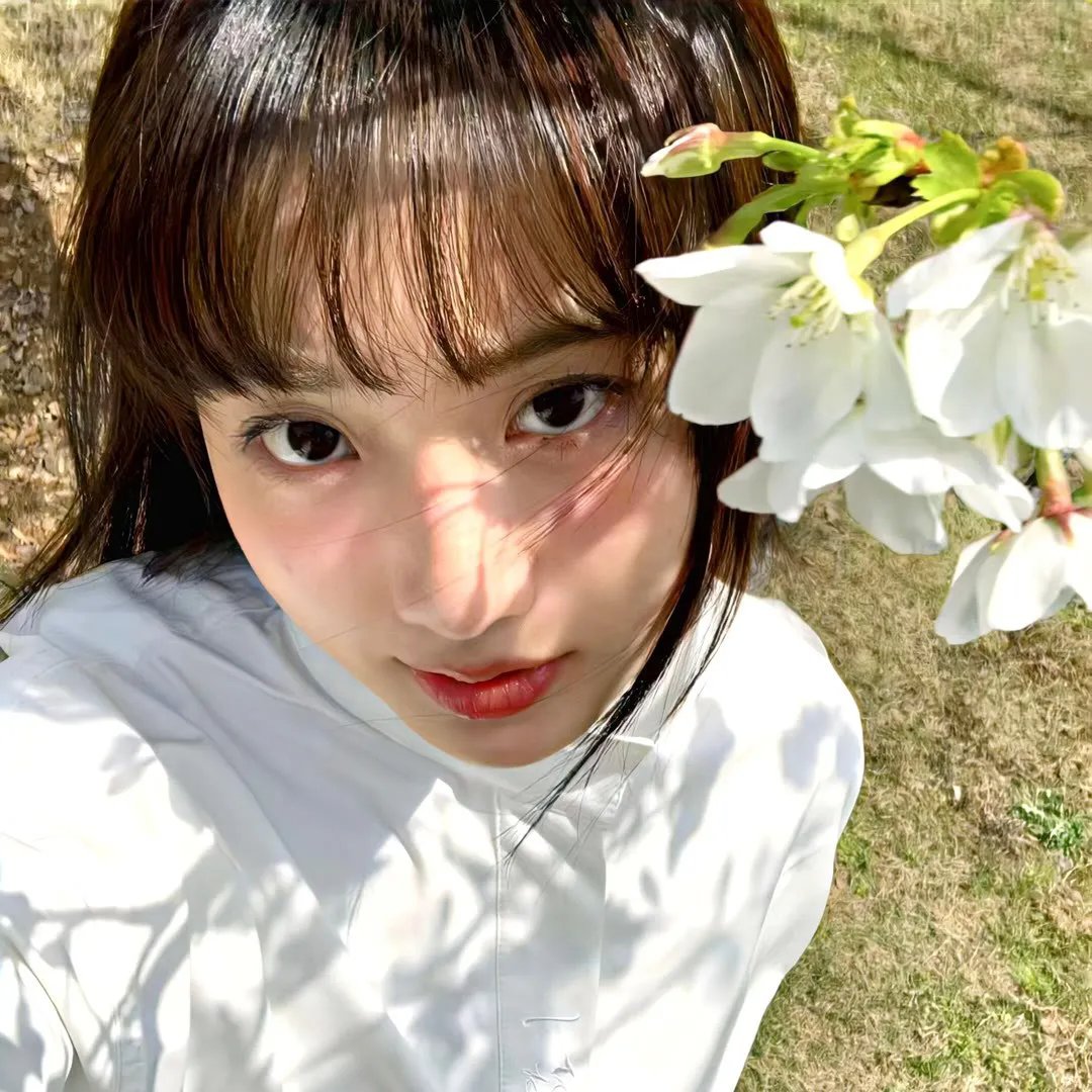 名校风暴第八季